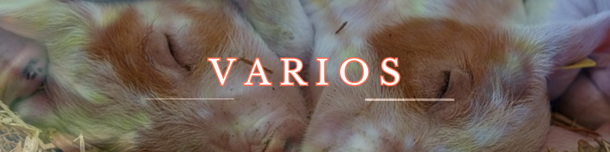 gues varios